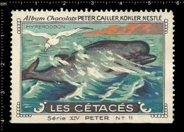 Old Original Swiss Poster Stamp (advertising Cinderella, Label) Marine Mammals, Hyperoodo, Bottlenose Whale, Entenwale - Wale