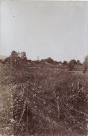 CP Photo 1917 Romania - GAGESTI (judet De Vrancea) - L'église, Clôture De Barbelé (Biserica) (A45, Ww1, Wk1) - Romania