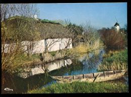 CP (VENDEE)  : Bourrine Et Moulin Dans Le Marais - Pays De La Loire