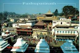 NEPAL : KATHMANDU - Pashupatinath - Nepal