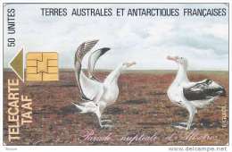 TAAF, TAF-04, Parade Nuptiale D´Albatros, Birds, Only Issued 1.500, 2 Scans. - TAAF - Territorios Australes Franceses