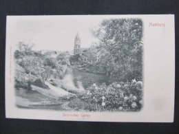 AK HAMBURG Botanischer Garten  Ca.1902 //  D*9656 - Mitte