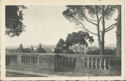 ITALY – POSTCARD – ROMA: VEDUTA DAL  PINCIO  – NEW – NOT SHINING REPOS2412/1 – NR. 4587-52 A. SCROCCHI – MILANO – ROMA - Parchi & Giardini