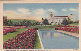 Pennsylvania Harrisburg Municipal Rose Garden Another Beauty Spot In Harrisburg 1941 - Harrisburg