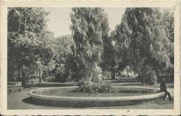 ITALY – POSTCARD – ROMA: MONTE PINCIO – FONTANA / FOUNTAIN DEL MOSÉ  – NEW – NOT SHINING REPOS2413/1 – NR. 4587-54 A. SC - Parks & Gärten