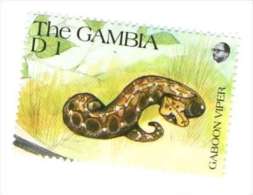 Gambia -  Viper, 1 Stamp, MNH - Serpenti