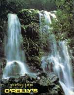 (669) Australia - QLD - O'Reillly's Waterfall - Atherton Tablelands