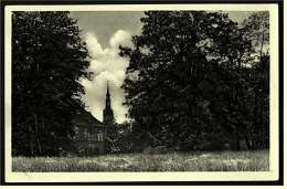 Lübbenau Spreewald  -  Im Park  -  Ansichtskarte Ca.1955    (2497) - Luebbenau