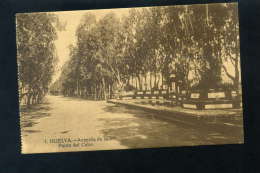 T1368 CARTOLINA TARJETA POSTAL SPAGNA HUELVA AVENIDA DE LA PUNTA DEL CEBO FP. NV. - Huelva