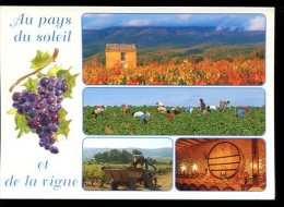 CP (84) : Au Pays Du Soleil Et De La Vigne - Malaucene