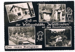 D4052   BAD SALZDETFÜHRT : Waldgaststätte Waldfrieden - Hildesheim