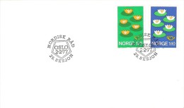 NORWAY   # LETTER FROM YEAR 1977 FLUOR - Covers & Documents