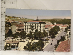 CPSM Algérie - TIARET - La Place Carnot - Tiaret