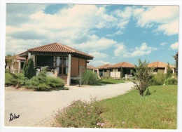 Saint-Cyprien, C.C.A.S., Colonie De Las Monges, Les Bungalows, Tél., Cliché Jamin, éd. Dino 5609-L - Saint Cyprien