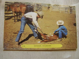 US - Denver Colorado - Horses  Cows - Cattle Stamping    D113081 - Denver