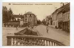 Châteauneuf La Forêt Avenue De Linards Les Jardins - Chateauneuf La Foret