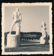 Photo Originale (Décembre 1954) : ROME, Stade Mussolini, Foro Italico, Les Statues (Italie) - Estadios E Instalaciones Deportivas