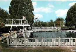 Haute Vienne -gd Format -ref L278- Chalus - La Piscine - Theme Piscines  - Carte Bon Etat  - - Chalus