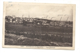 Meursault (21) : Vue Générale Des Vignes En 1919. - Meursault