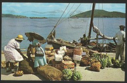 VIRGIN ISLANDS St. Thomas Waterfront Vendors Antilles 1964 - Isole Vergini Americane