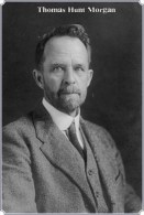 NOBEL PRIZE WINNERS Thomas Hunt Morgan  Stamped Card 0951-3 - Nobel Prize Laureates