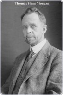 NOBEL PRIZE WINNERS Thomas Hunt Morgan   Stamped Card 0951-3 - Nobel Prize Laureates