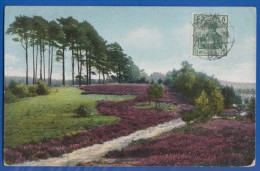 Deutschland; Lüneburger Heide; Birkenweg Am Büsenbachtal; 1910 - Lüneburger Heide