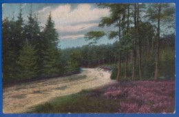 Deutschland; Lüneburger Heide; Waldweg In Kleeckerwald; 1918 Feldpost - Lüneburger Heide