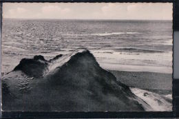 St. Peter-Ording - Dünen Und Meer - St. Peter-Ording