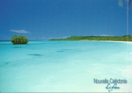 Nouvelle Calédonie - New Caledonia Entier Postal Stationery 2010 Neuf TTB Unused PERFECT Postcard Carte Postale PAP - Enteros Postales