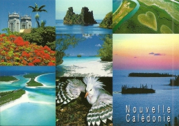 Nouvelle Calédonie - New Caledonia Entier Postal Stationery 2010 Neuf TTB Unused PERFECT Postcard Carte Postale PAP - Ganzsachen