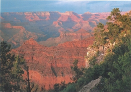 ETATS UNIS-GRAND CANYON NATIONAL PARK-MB - Grand Canyon