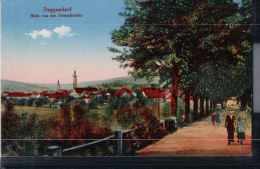 Deggendorf - Blick Von Der Donaubrücke - Deggendorf