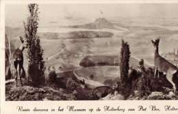 Diorama In Het Museum Holterberg - Holten