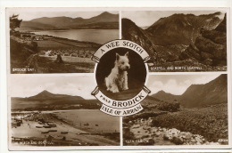 Isle Of Arran A Wee Scotch Frae Brodick  Glen Sannox P. Used Brodick 1948 Scottish Terrier - Ayrshire