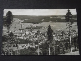 NEUSTADT (Schwarzwald, Allemagne) Vom Hochfirst - Forêt Noire - Voyagée - Neustadt (Weinstr.)