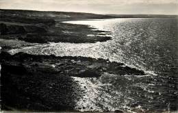 CONTRE JOUR SUR BRETTEVILLE - Cherbourg