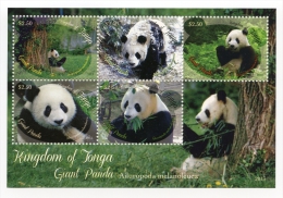 TONGA - Pandas - BF Neufs // Mnh - Tonga (1970-...)