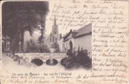 Ronse. - Un Coin De Renaix - La Rue De L'Hôpital; 1902 - Ronse