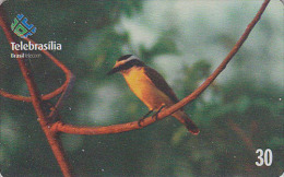 Télécarte Brésil - OISEAU Passereau Exotique - Bird Brazil Phonecard -  Vogel Telefonkarte - 2402 - Pájaros Cantores (Passeri)
