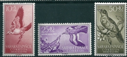 Spanish Sahara 1958 Edifil 153-5 MNH** - Sahara Espagnol