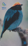 Télécarte Brésil - OISEAU Passereau - TANGARA - Bird Brazil Phonecard - Vogel Telefonkarte - 2408 - Zangvogels