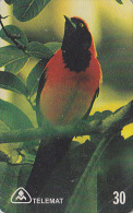 Télécarte Brésil - OISEAU Passereau - LORIOT - Bird Brazil Phonecard - Vogel Telefonkarte - 2409 - Zangvogels