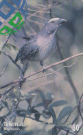 Télécarte Brésil - OISEAU Passereau - Bird Brazil Phone Card - Vogel Telefonkarte - 2411 - Zangvogels