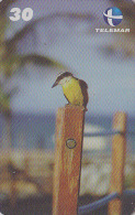 Télécarte Brésil - OISEAU Passereau - Bird Brazil Phone Card - Vogel Telefonkarte - 2412 - Zangvogels