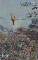 RARE Télécarte Brésil - OISEAU Passereau - Bird Brazil Phonecard - Vogel Telefonkarte / Ave Uccello - 2416 - Songbirds & Tree Dwellers
