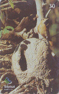 Télécarte Brésil - OISEAU Passereau - FOURNIER - Bird Brazil Phonecard - Vogel Telefonkarte / Ave Uccello - 2417 - Songbirds & Tree Dwellers