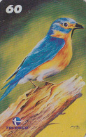Télécarte Brésil - OISEAU Passereau - Bird Brazil Rare Phonecard - Vogel Telefonkarte / Ave Uccello - 2419 - Passereaux