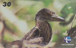 Télécarte Brésil - OISEAU Passereau - Bird Brazil Phonecard - Vogel Telefonkarte / Ave Uccello - 2420 - Songbirds & Tree Dwellers