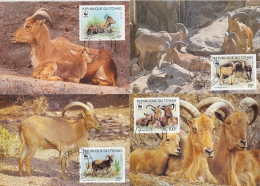 Mud074mb WWF ZOOGDIEREN 'HERT' SCHAAP BARBARY SHEEP MAMMALS MÄHNENSPRINGER TCHAD 1988 MAX - Cartes-maximum